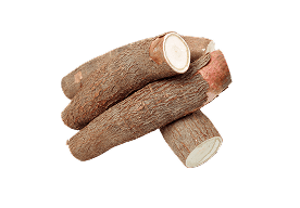 Cassava